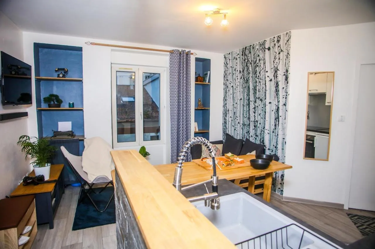 City Center Nest - Private Flats Annemasse Apartment